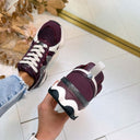 STEVE MADDEN SNEAKER SEDGWICK 5441 - WINE/GREY