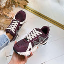 STEVE MADDEN SNEAKER SEDGWICK 5441 - WINE/GREY