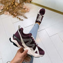 STEVE MADDEN SNEAKER SEDGWICK 5441 - WINE/GREY